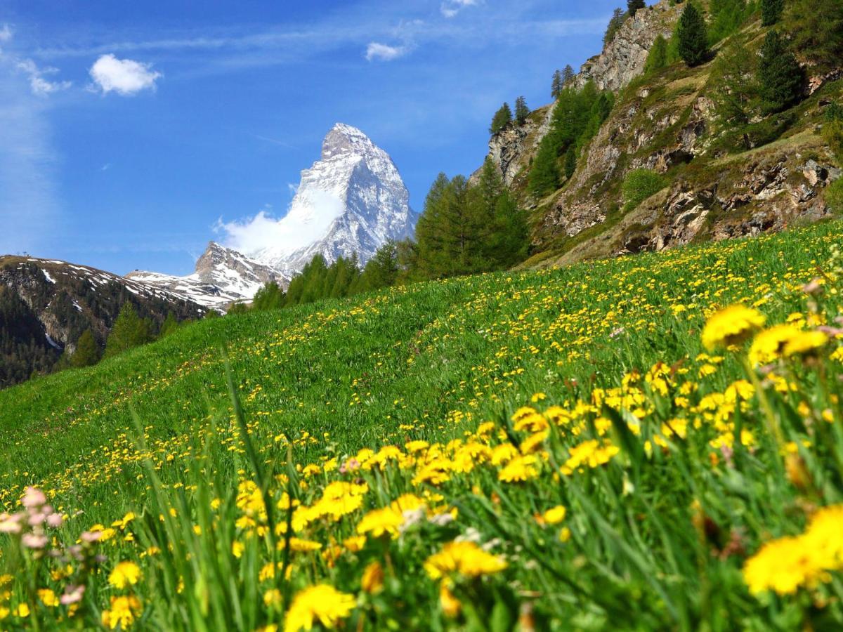 Apartment Hubertus-1 By Interhome Zermatt Luaran gambar